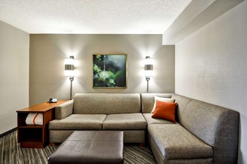 Room, 1 King Bed (& Sofabed)