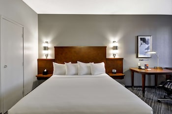 Room, 1 King Bed, Accessible (Roll-In Shower)
