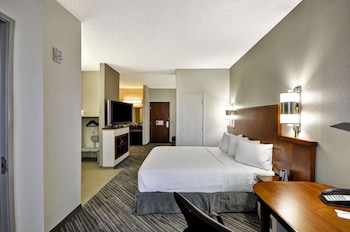 Room, 1 King Bed, Accessible (Roll-In Shower)