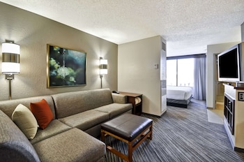 Room, 1 King Bed (& Sofabed)