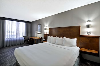 Room, 1 King Bed, Accessible (Roll-In Shower)