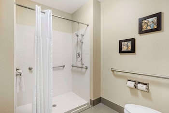 Room, 1 King Bed, Accessible, Non Smoking