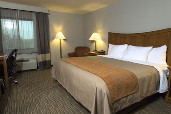 Standard Room, 1 King Bed, Non Smoking