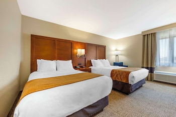 Standard Room, 2 Double Beds, Non Smoking