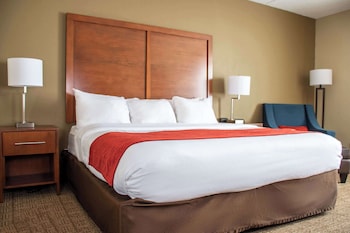Room, 1 King Bed, Accessible, Non Smoking