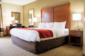 Room, 1 King Bed, Accessible, Non Smoking