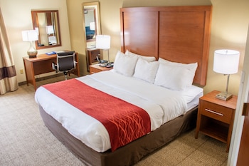 Standard Room, 1 King Bed, Non Smoking