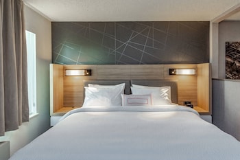 Suite, 1 King Bed with Sofa bed (Hearing Accessible)