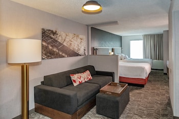 Suite, Multiple Beds (Mobility/Hearing Access, Roll-In Shwr)
