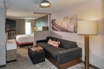 Suite, Multiple Beds (Hearing Accessible)