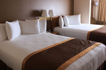 Superior Room, Multiple Beds