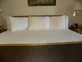 Superior Room, 1 King Bed with Sofa bed