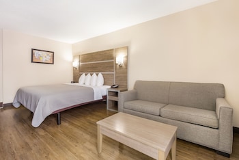 Standard Room, 1 King Bed, Non Smoking