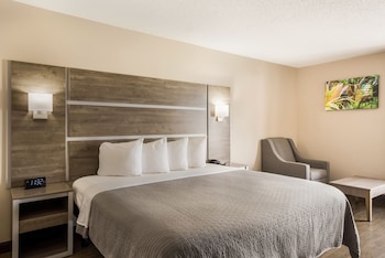 Standard Room, 1 King Bed, Accessible, Non Smoking