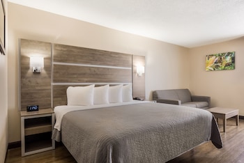 Standard Room, 1 King Bed, Non Smoking