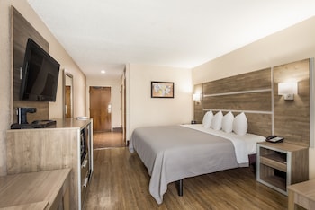 Standard Room, 1 King Bed, Accessible, Non Smoking