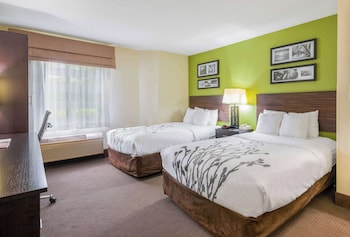 Standard Double Room, 2 Double Beds, Non Smoking