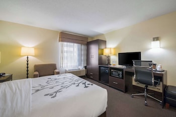 Room, 1 Queen Bed, Accessible, Non Smoking