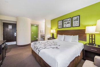 Standard Room, 1 King Bed, Non Smoking