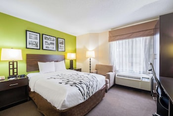 Room, 1 Queen Bed, Accessible, Non Smoking