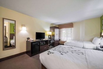 Standard Double Room, 2 Double Beds, Non Smoking