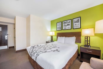 Room, 1 Queen Bed, Accessible, Non Smoking