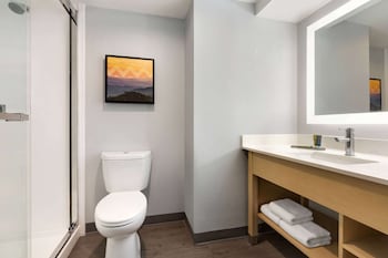 Room, 1 King Bed, Accessible, Non Smoking (Mobility)