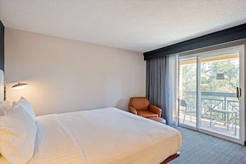 Deluxe Room, 1 King Bed with Sofa bed