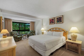 Condo, 2 Bedrooms, Ocean View (245)
