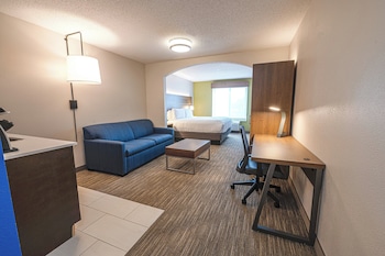 Suite, 1 King Bed with Sofa bed