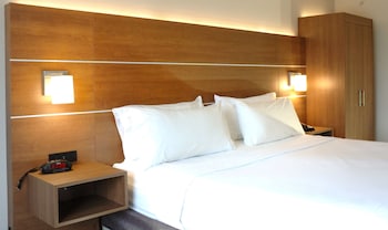 Suite, 1 King Bed with Sofa bed