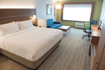 Suite, 1 King Bed with Sofa bed