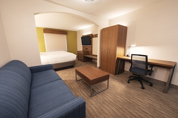 Suite, 1 King Bed with Sofa bed