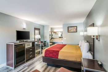 Room, 1 King Bed with Sofa bed, Non Smoking