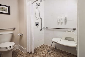 Room, 1 King Bed, Accessible, Non Smoking