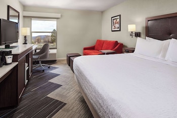 Room, 1 King Bed with Sofa bed, Non Smoking