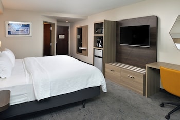 Suite, 1 King Bed