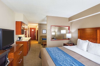 Suite, 1 King Bed with Sofa bed, Non Smoking