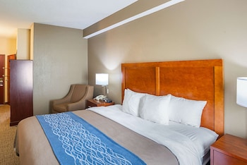 Standard Room, 1 King Bed, Non Smoking