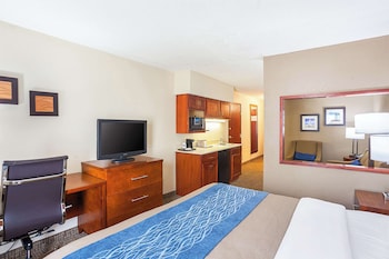 Suite, 1 King Bed with Sofa bed, Non Smoking