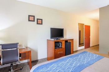 Standard Room, 1 King Bed, Non Smoking