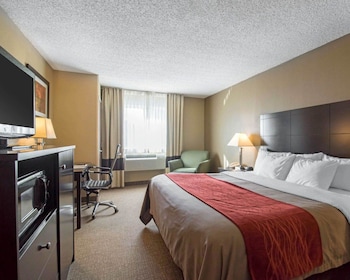 Standard Room, 1 King Bed, Non Smoking