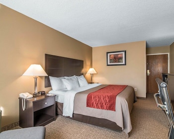 Standard Room, 1 King Bed, Non Smoking