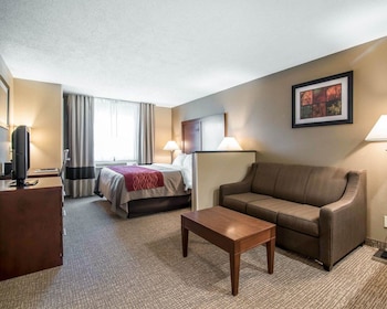 Standard Room, 1 King Bed, Non Smoking