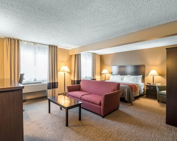 Standard Room, 1 King Bed with Sofa bed, Non Smoking