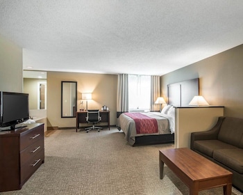 Standard Room, 1 King Bed, Non Smoking