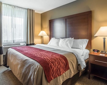 Room, 1 King Bed, Non Smoking