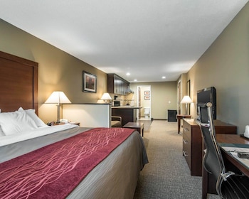 Standard Room, 1 King Bed, Non Smoking