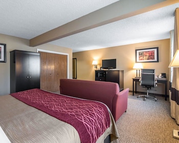 Standard Room, 1 King Bed with Sofa bed, Non Smoking