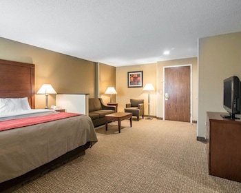 Room, 1 King Bed, Non Smoking